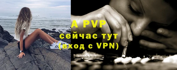 a pvp Гусиноозёрск